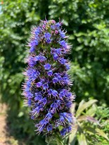 25147 Jack Rabbit Acres in Escondido, CA - Building Photo