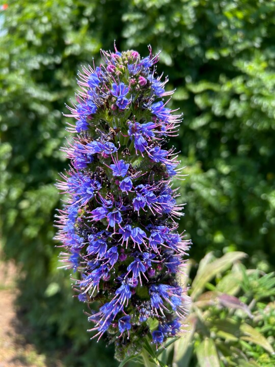 25147 Jack Rabbit Acres in Escondido, CA - Foto de edificio