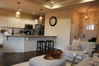 5 Dolphin Cir in Bella Vista, AR - Building Photo - Building Photo