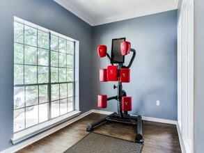 The Gael in Houston, TX - Building Photo - Building Photo