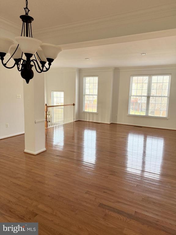 property at 25207 Bald Eagle Terrace