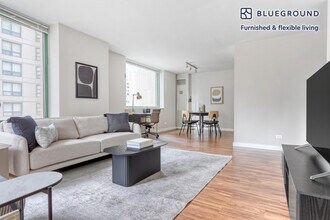 420 E Ohio St in Chicago, IL - Building Photo - Building Photo