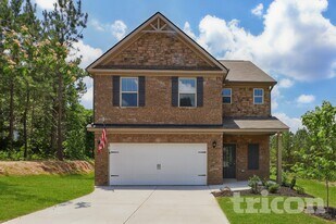 11039 Shadow Creek Terrace in Hampton, GA - Building Photo