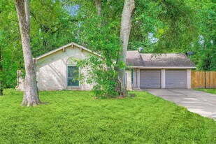 3415 Bristlecone Trail in Spring, TX - Building Photo