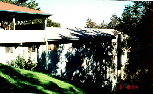 18 Walnut Ave in Larkspur, CA - Building Photo