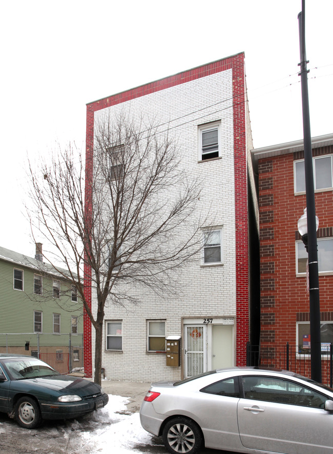 257 W 22nd Pl in Chicago, IL - Foto de edificio - Building Photo
