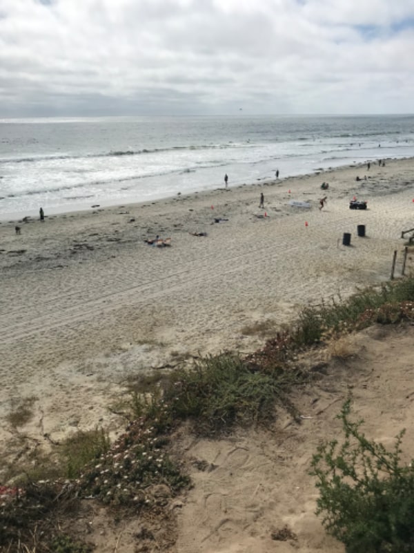 4667 Ocean Blvd in San Diego, CA - Building Photo - Building Photo