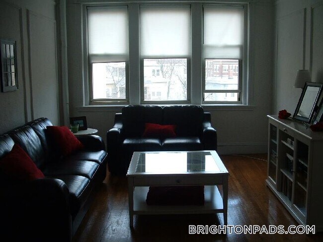 24 Colborne Rd in Boston, MA - Foto de edificio - Building Photo