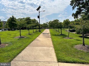 5658 Lierman Cir in Centreville, VA - Building Photo - Building Photo