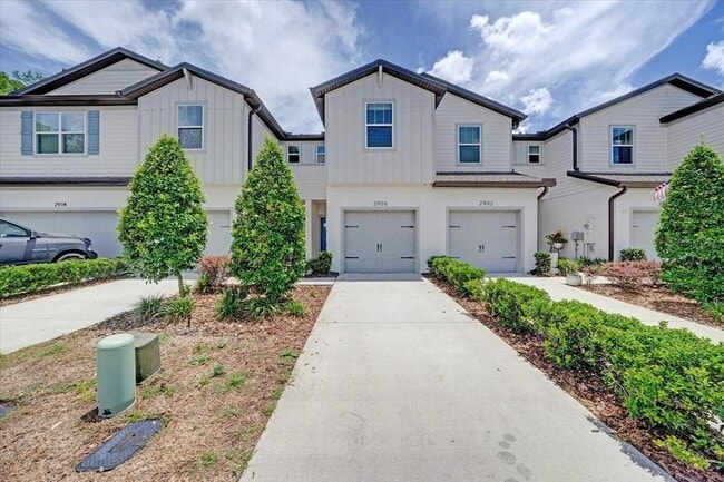 2906 Deer Pine Trail in Land O Lakes, FL - Building Photo - Building Photo