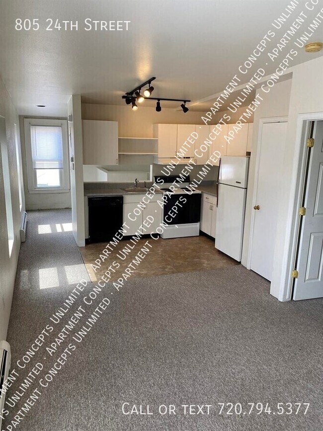 805 24th St in Denver, CO - Building Photo - Building Photo
