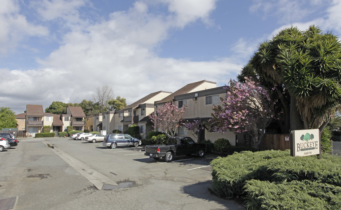 Buckeye Apartments in San Lorenzo, CA - Building Photo