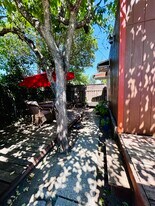 249 Orchard Ave in Sonoma, CA - Building Photo