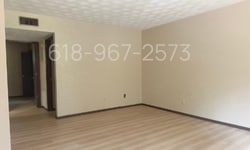 728 N Vine St in Du Quoin, IL - Building Photo - Building Photo