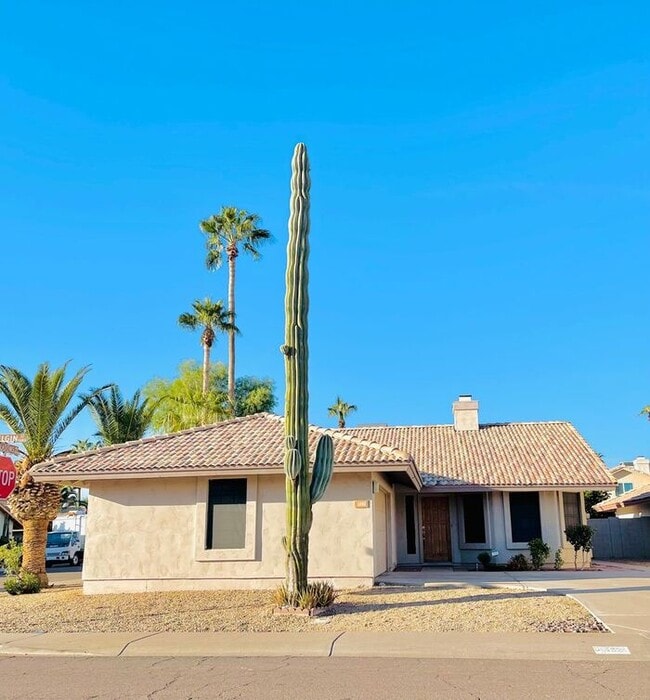 1482 W Elgin St in Chandler, AZ - Building Photo - Building Photo