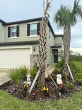 32142 Spiceberry St in San Antonio, FL - Building Photo - Building Photo