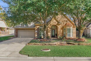 94 Oriel Oaks Cir in Spring, TX - Building Photo