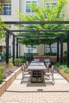 Lincoln at Dilworth in Charlotte, NC - Building Photo