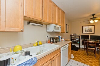 420 W Aldine Ave in Chicago, IL - Building Photo - Building Photo