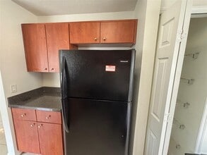 1025 Tourmaline Dr in Kissimmee, FL - Building Photo - Building Photo