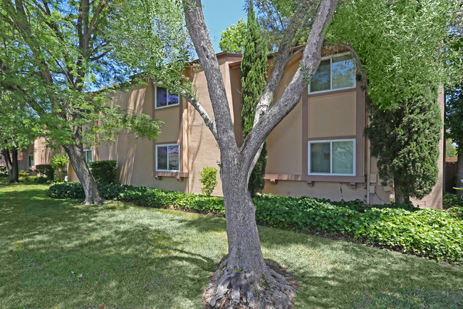 Walnut Wood Apartments in Carmichael, CA - Building Photo - Building Photo