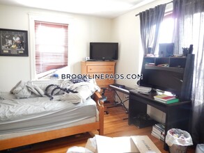 237 Freeman St, Unit 2 in Brookline, MA - Building Photo - Building Photo