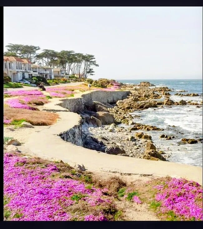 property at 699 Lottie St