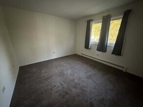 508 Schroeder Ave in Peotone, IL - Building Photo - Building Photo
