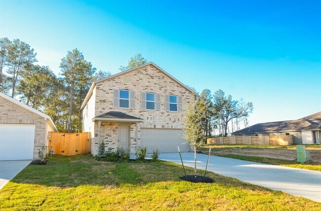 22716 Hackberry Leaf Dr in New Caney, TX - Building Photo - Building Photo