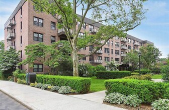 4 Birchwood Ct in Mineola, NY - Building Photo - Building Photo