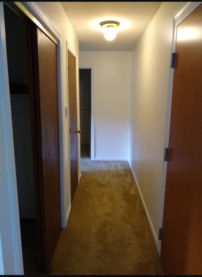 74 Barrett St, Unit 307 in Northampton, MA - Building Photo - Building Photo