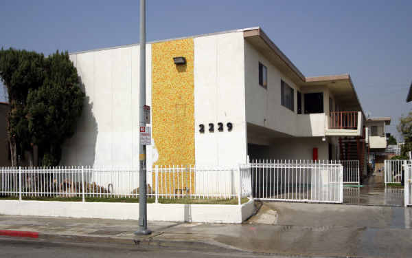 2229 W 14th St in Los Angeles, CA - Building Photo