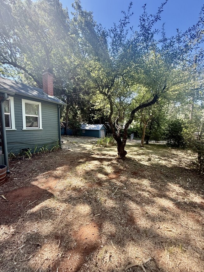10819 Conifer Ln in Grass Valley, CA - Building Photo - Building Photo