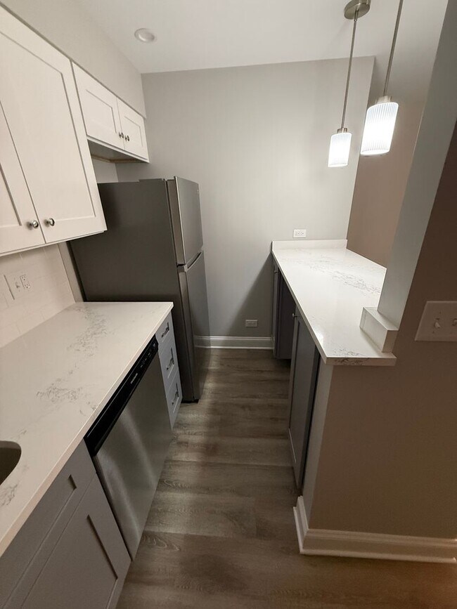 744 W Gordon Terrace in Chicago, IL - Building Photo - Building Photo