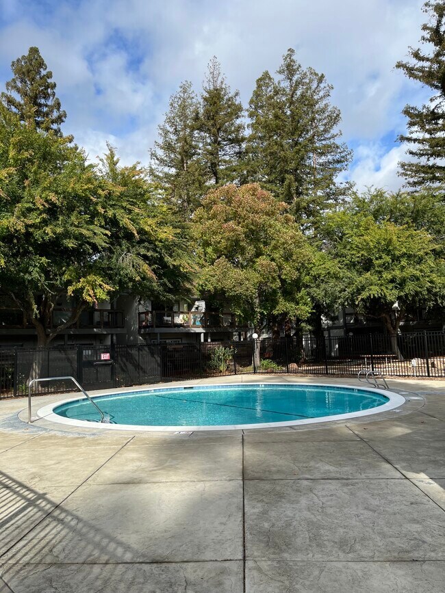 4081 Clayton Rd in Concord, CA - Building Photo - Building Photo