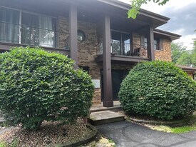 516 Lincoln Ln, Unit 1N in Frankfort, IL - Building Photo