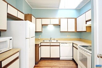 313 E Main St in Charlottesville, VA - Building Photo - Building Photo