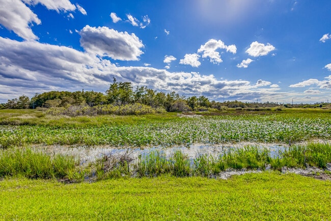 property at 602 Sabal Palm Ln