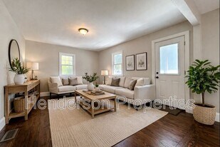 217 Skyland Ave in Charlotte, NC - Building Photo