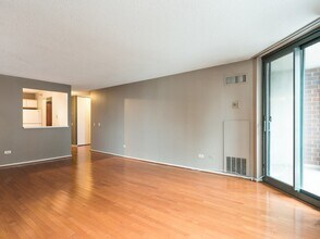 480 N McClurg Ct in Chicago, IL - Building Photo - Building Photo