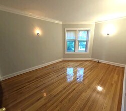 116 S Maple Ave in Oak Park, IL - Building Photo - Building Photo