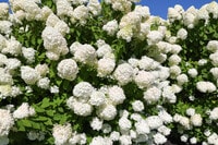 Apartamentos en South Portland, ME