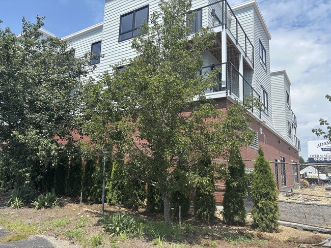 1391 Main St in Walpole, MA - Foto de edificio - Building Photo