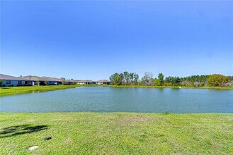 21865 Adriatic Ln in Land O Lakes, FL - Building Photo - Building Photo