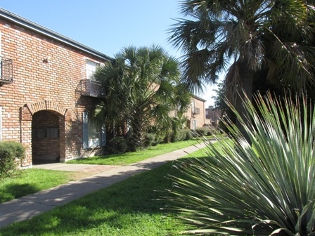 Beechnut Palms in Houston, TX - Building Photo - Building Photo