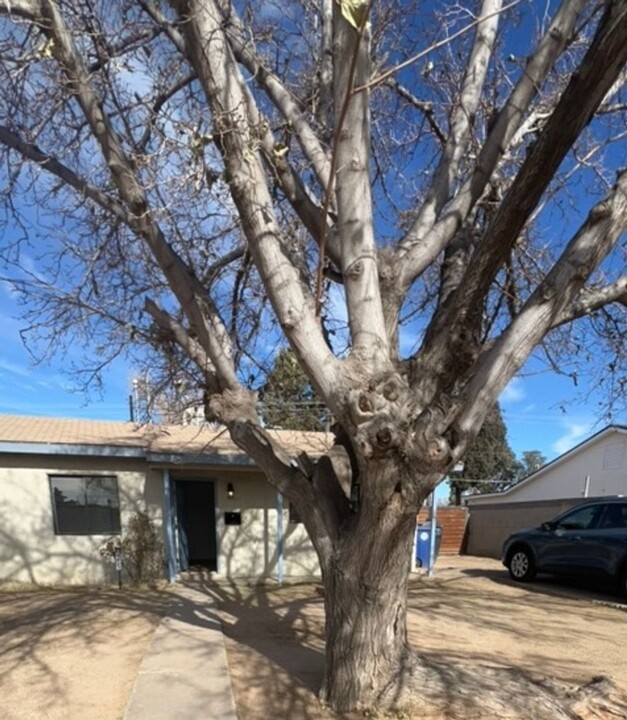 4823 Comanche Rd NE in Albuquerque, NM - Building Photo