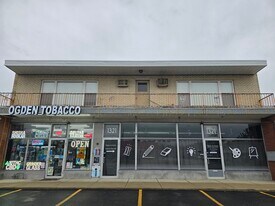 1319 Ogden Ave in Downers Grove, IL - Building Photo