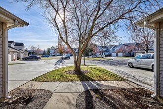 173 Cripple Creek Ct in Schaumburg, IL - Building Photo - Building Photo