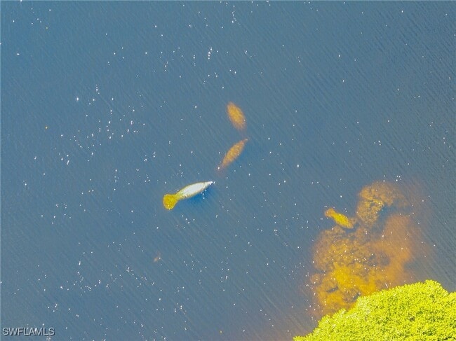 property at 17288 Hidden Estates Cir