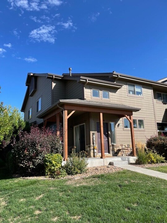 335 Carina Cir in Loveland, CO - Building Photo